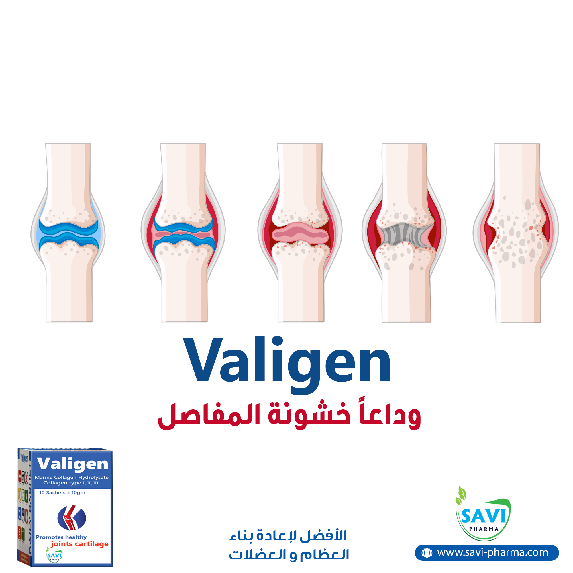 صورة 6